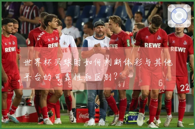 世界杯买球时如何判断体彩与其他平台的可靠性和区别？