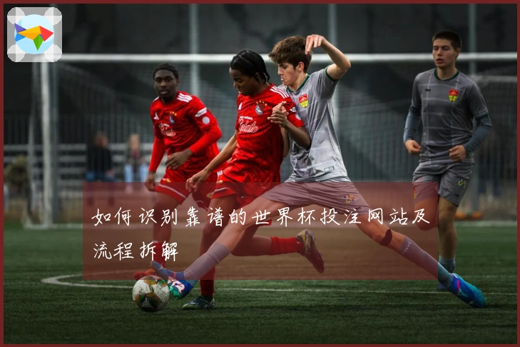 如何识别靠谱的世界杯投注网站及流程拆解
