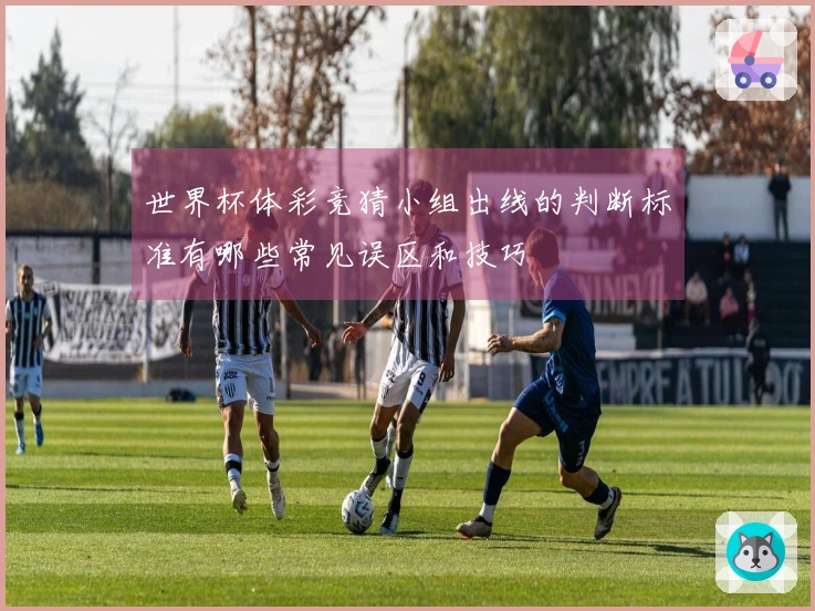 世界杯体彩竞猜小组出线的判断标准有哪些常见误区和技巧