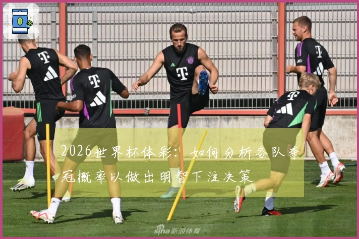 2026世界杯体彩：如何分析各队夺冠概率以做出明智下注决策