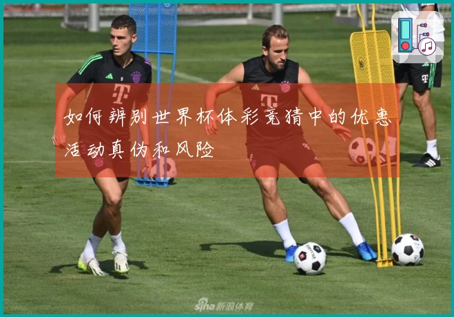 如何辨别世界杯体彩竞猜中的优惠活动真伪和风险