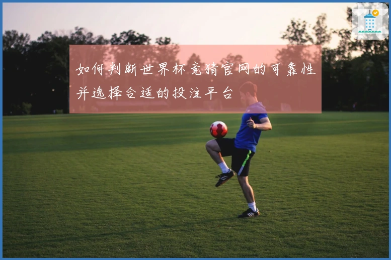 如何判断世界杯竞猜官网的可靠性并选择合适的投注平台