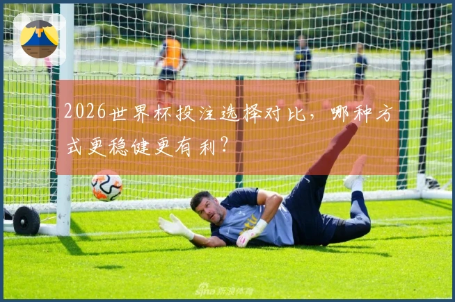 2026世界杯投注选择对比，哪种方式更稳健更有利？