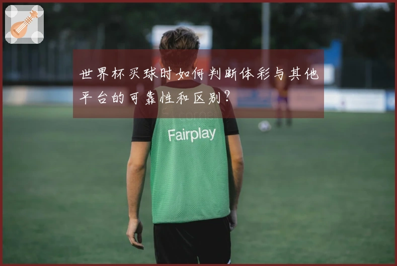 世界杯买球时如何判断体彩与其他平台的可靠性和区别？